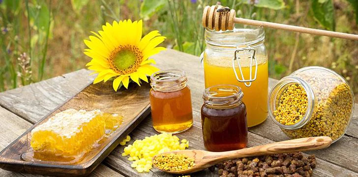 Wat is Royal Jelly, eigenschappen en voordelen voor de gezondheid van mensen